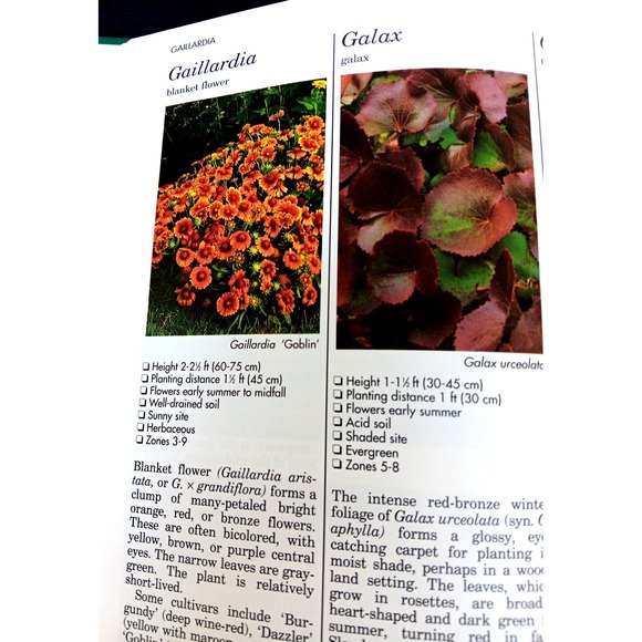 A–Z of Perennials – Reader's Digest Successful Gardening Series 1990, Hardcover - Picture 6 of 14